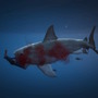 GTA5：マップ端に「サメ」が待ち構えており、食べられてゲームオーバーとなります。